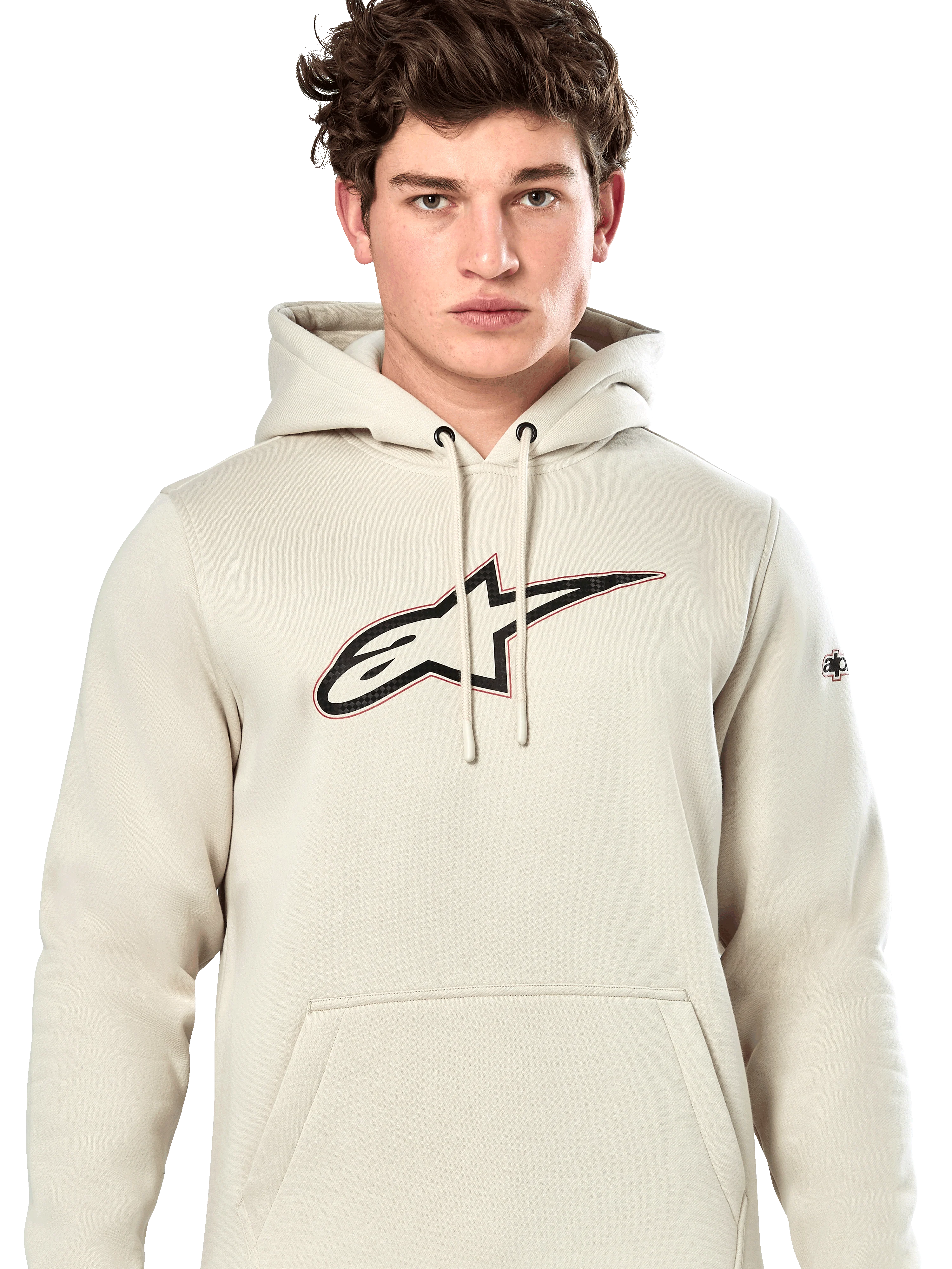 Felpa Con Cappuccio Insignia - Image 4